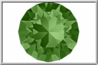 Chaton 1088 SWAROVSKI�, 8mm, 291 - fern green, foiled, 6 Stk.